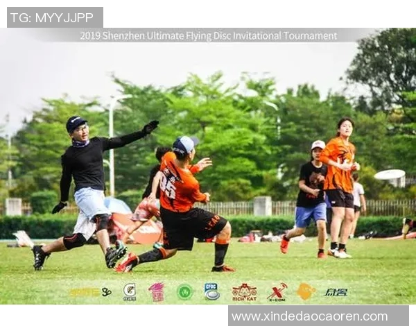 深圳飞盘队的战术意识与团队协作探讨之旅