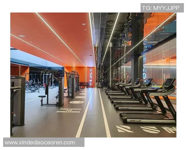 经典健身器材回顾与市场表现