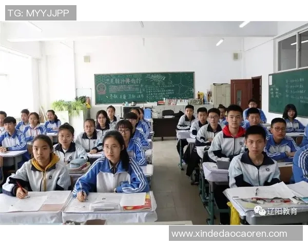 南京排球队的阵地战分析与反思：得失背后的战术与团队协作